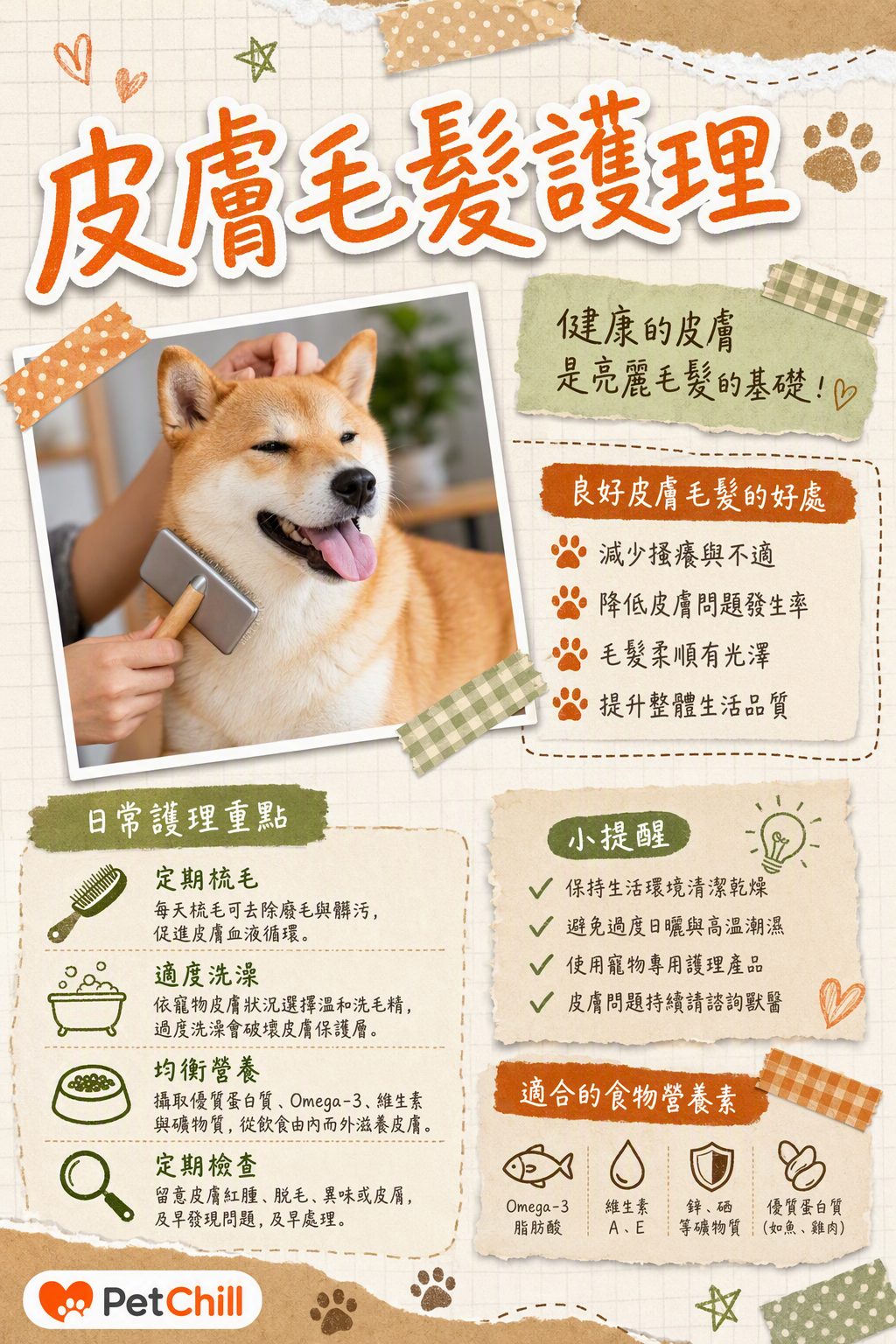 章節主題