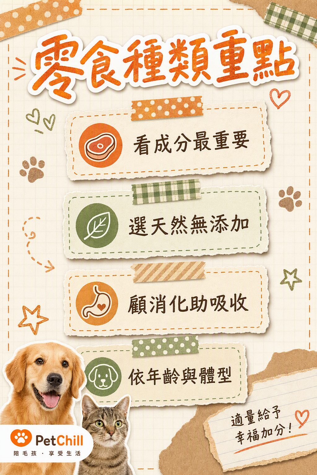 章節內容