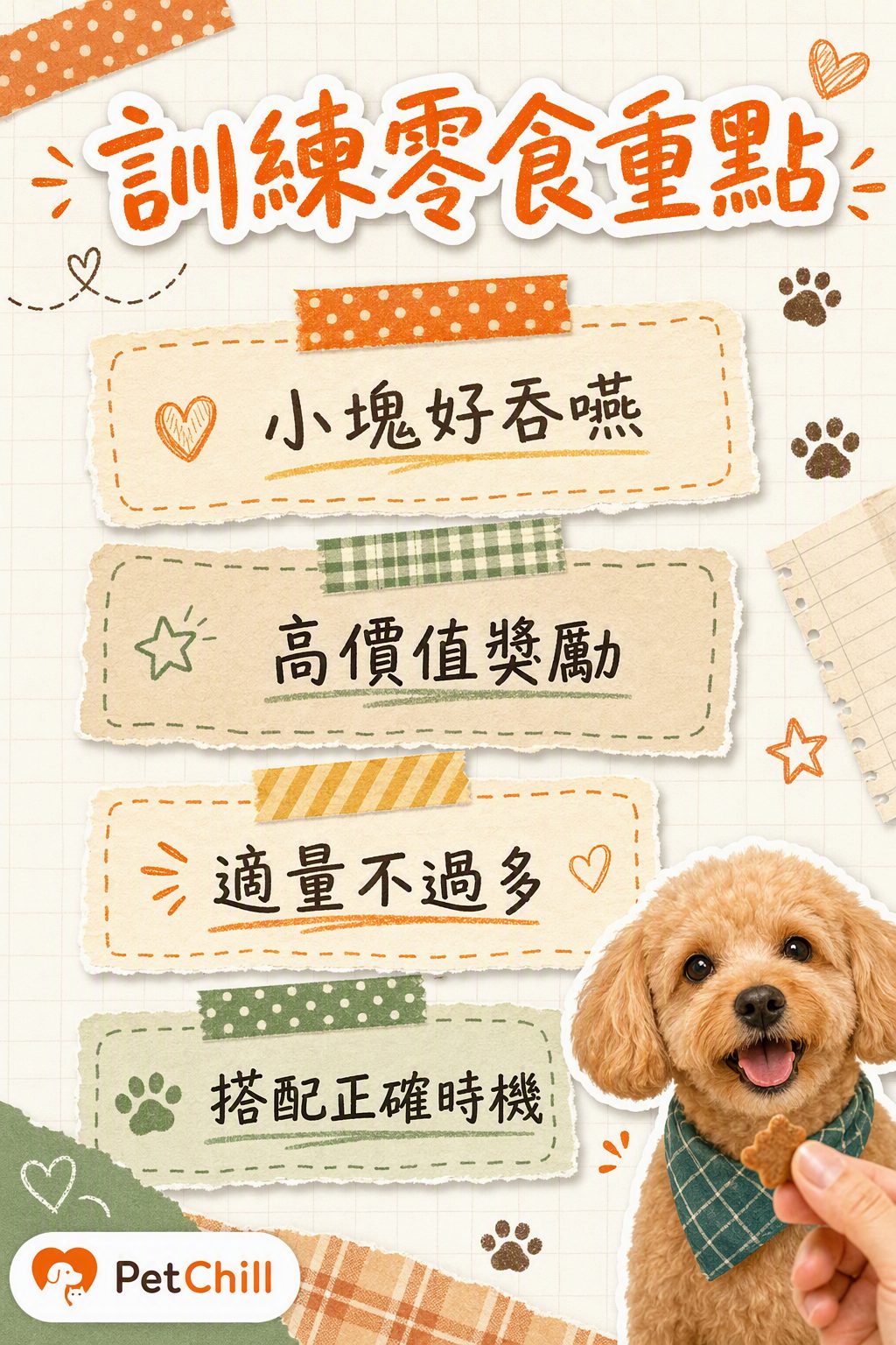 章節內容