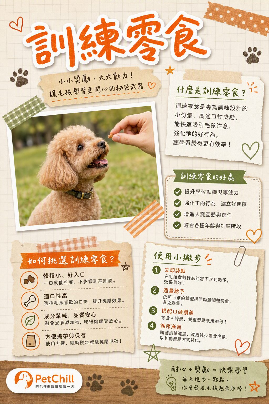 章節主題