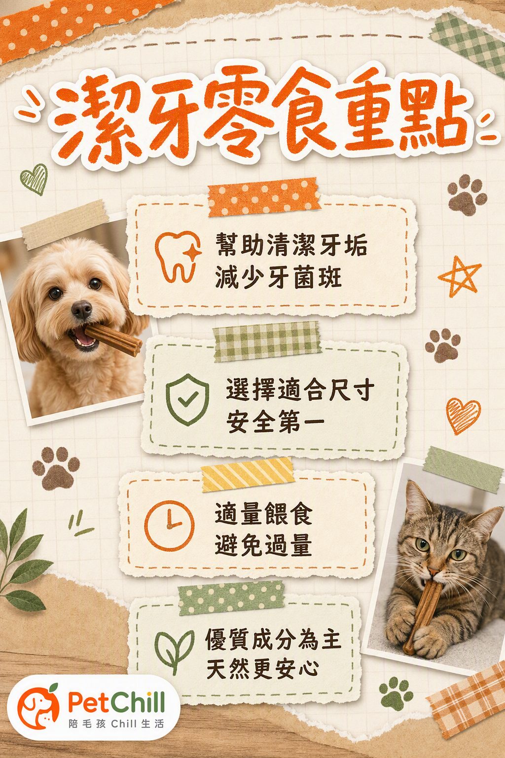 章節內容