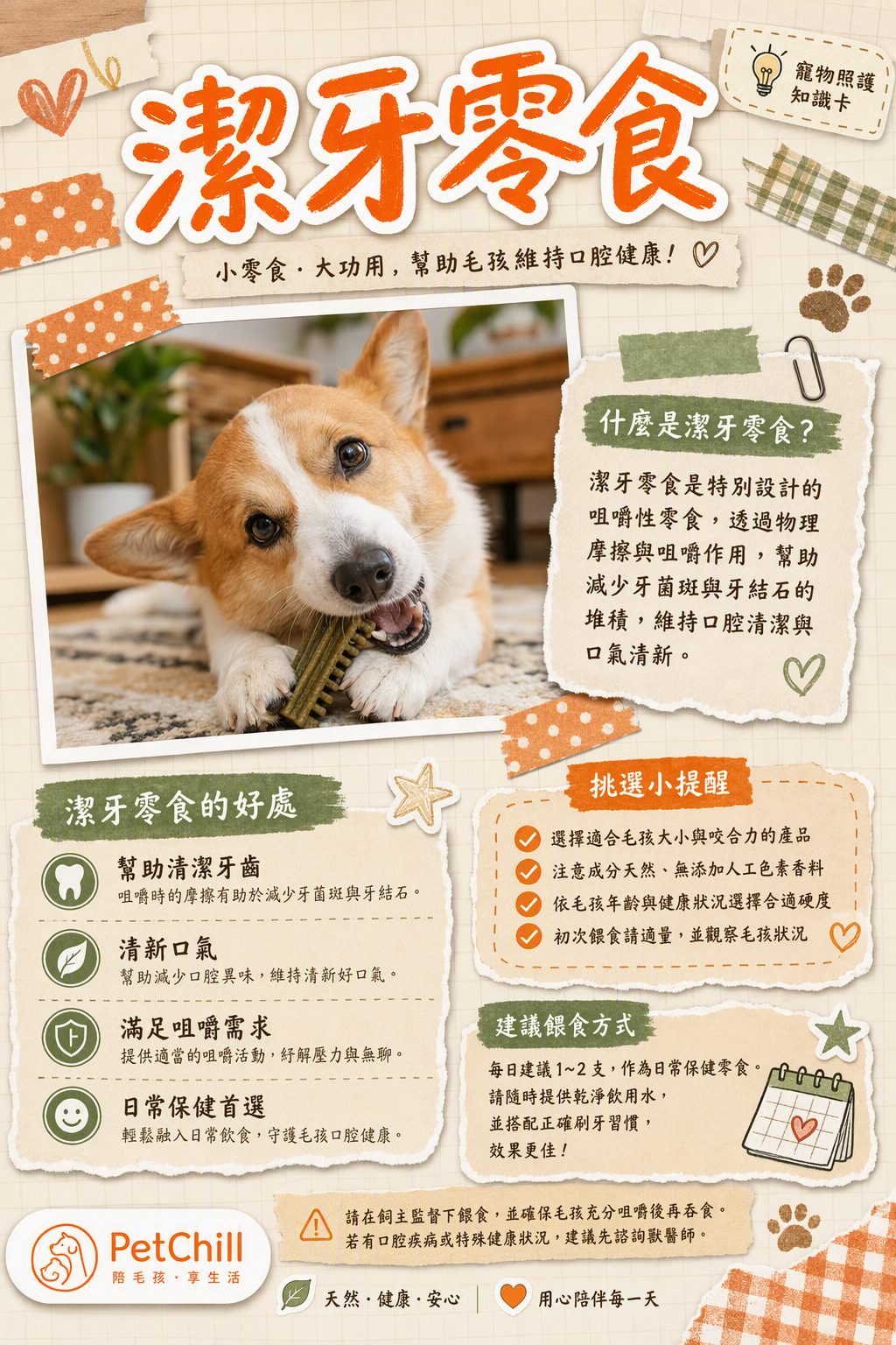 章節主題
