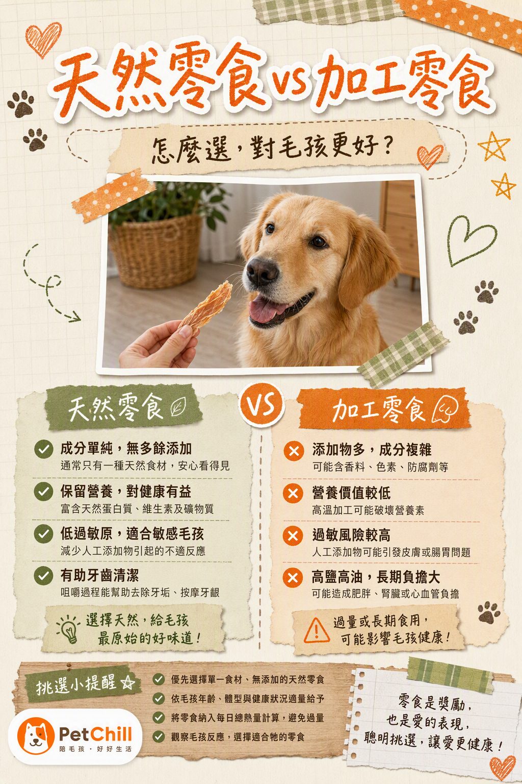 章節主題