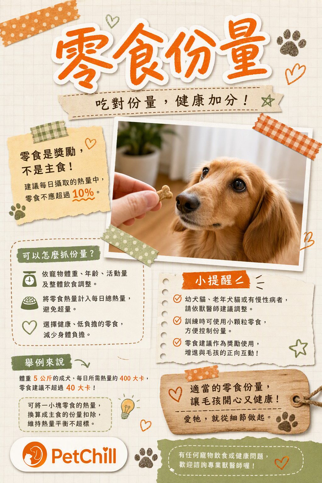 章節主題