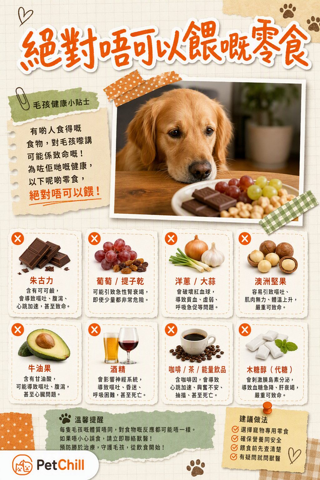 章節主題