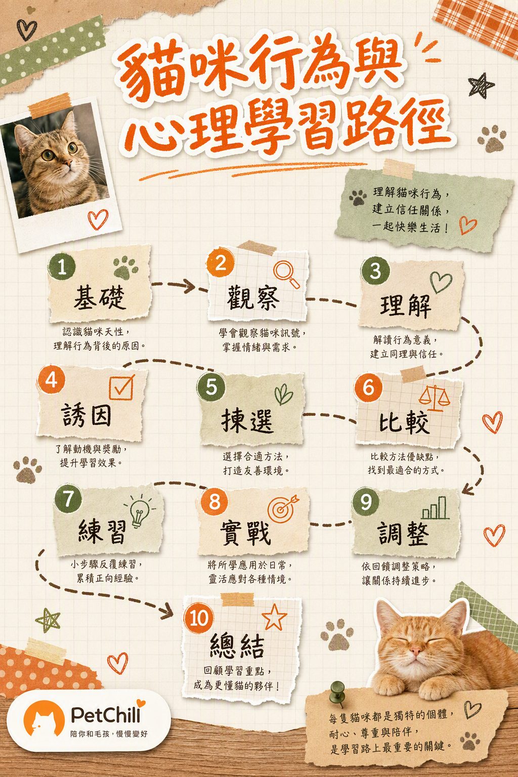 課程內容